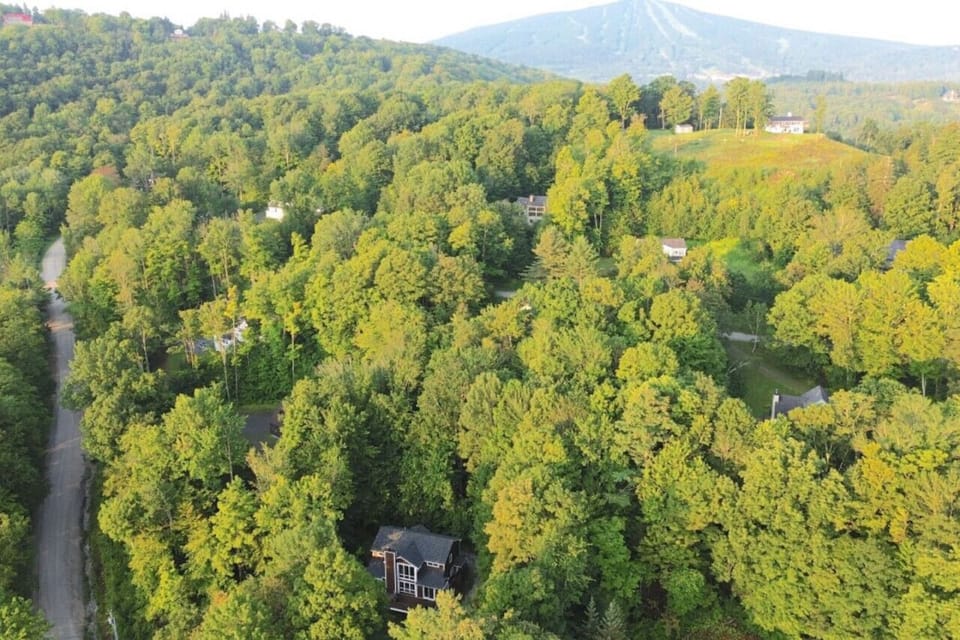 Overview Of House w/ Stratton Mountain