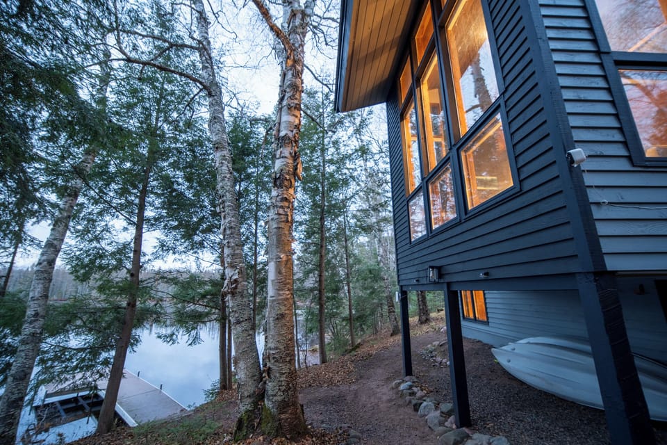 Modern, dark-sided cabin with large windows overlooking a lake through a dense birch and evergreen forest.