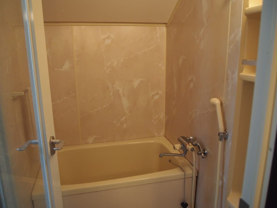 Separate tub and shower, hair dryer, towels