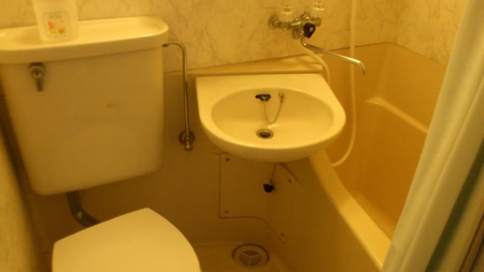 Combined shower/tub, free toiletries, hair dryer, slippers
