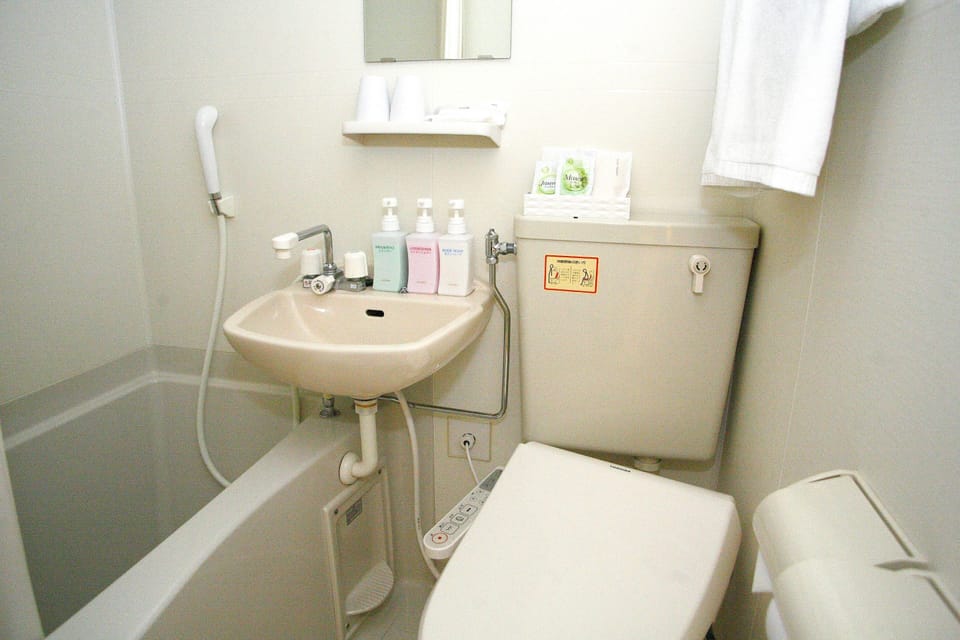 Combined shower/tub, free toiletries, hair dryer, slippers