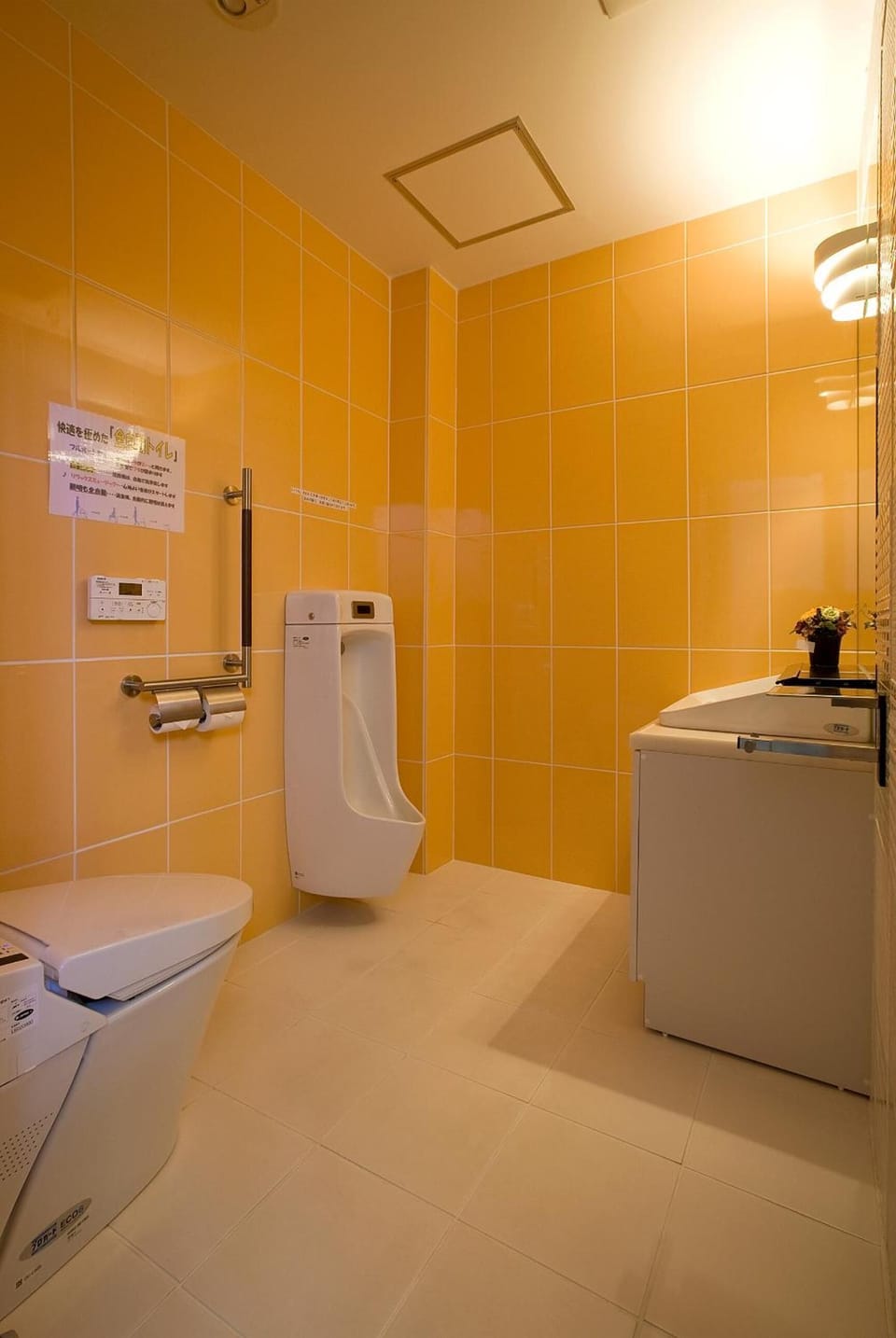 Combined shower/tub, free toiletries, hair dryer, slippers