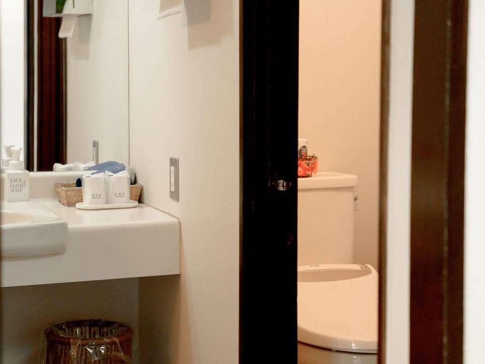Combined shower/tub, free toiletries, hair dryer, slippers