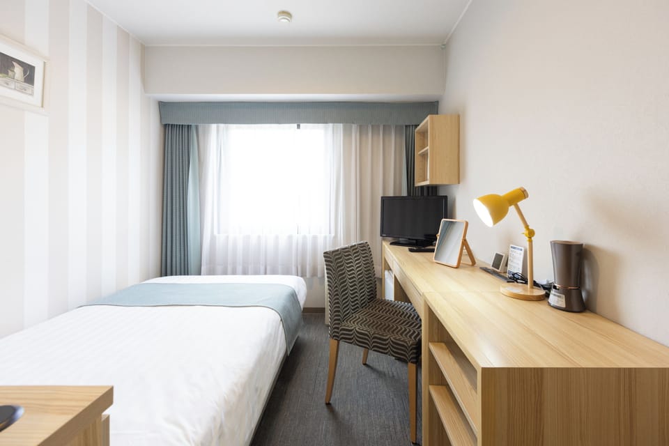 Single Room, Non Smoking | WiFi (free)