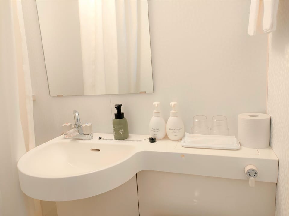 Combined shower/tub, free toiletries, hair dryer, slippers