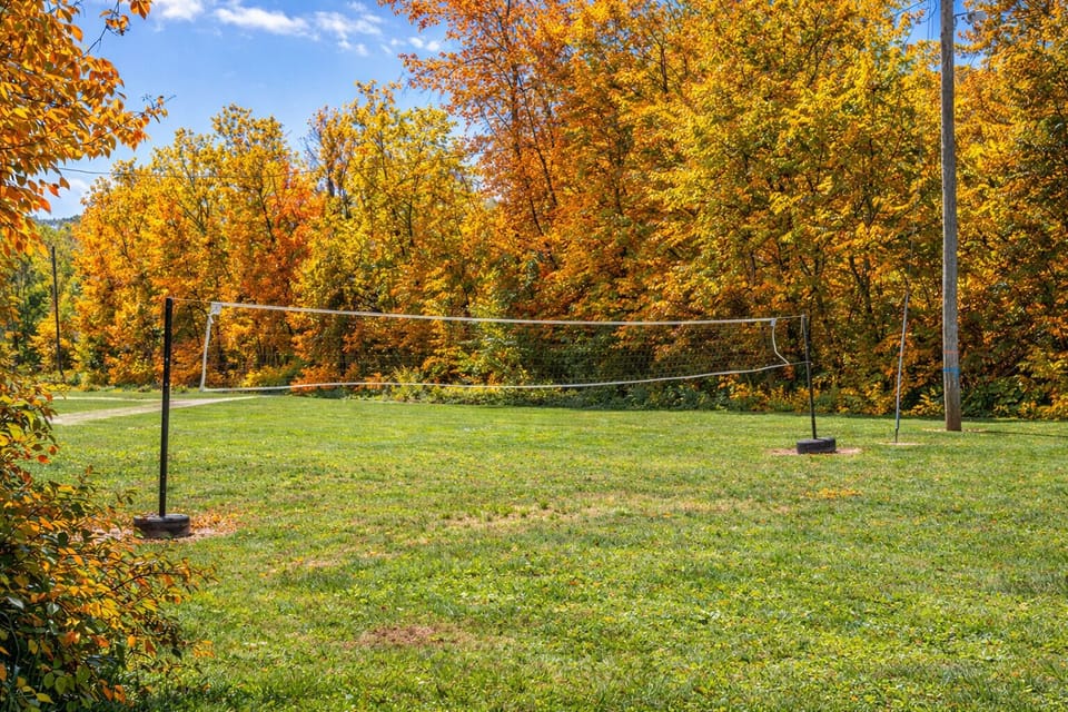 Volleyball (bring equipment for badminton and volleyballs)