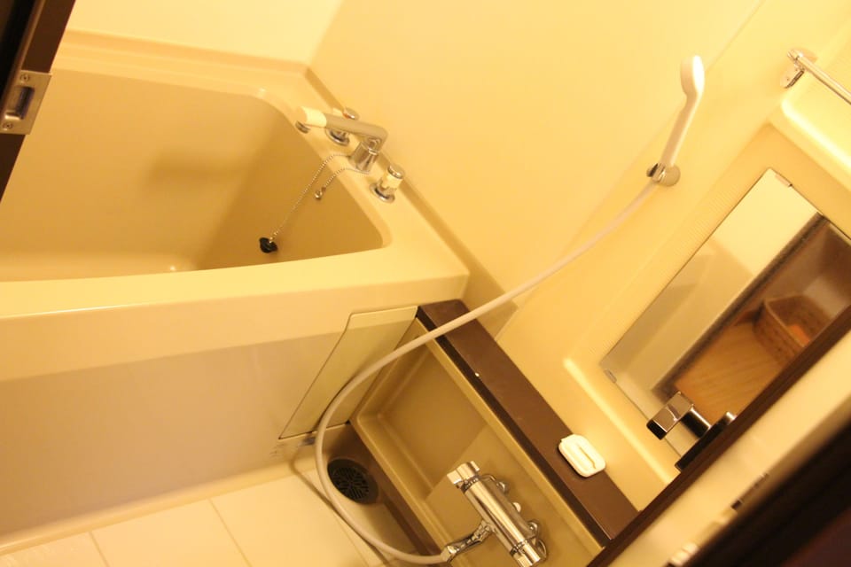 Separate tub and shower, hair dryer, slippers, bidet