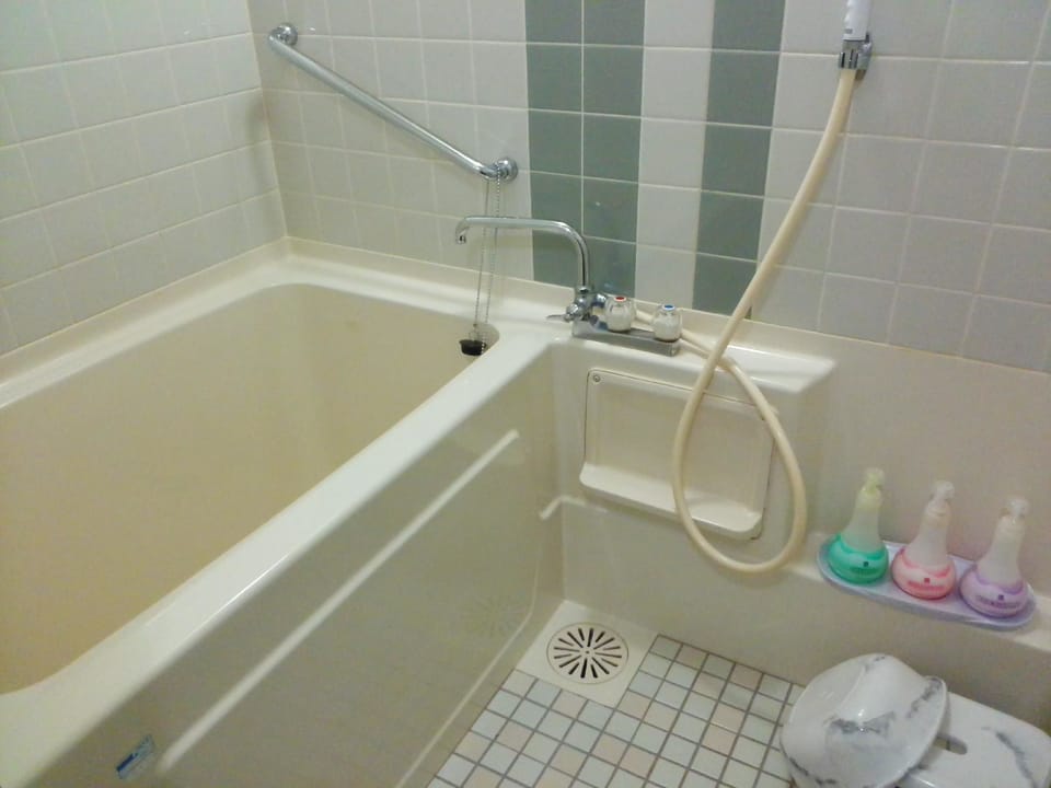 Separate tub and shower, deep soaking tub, free toiletries, hair dryer