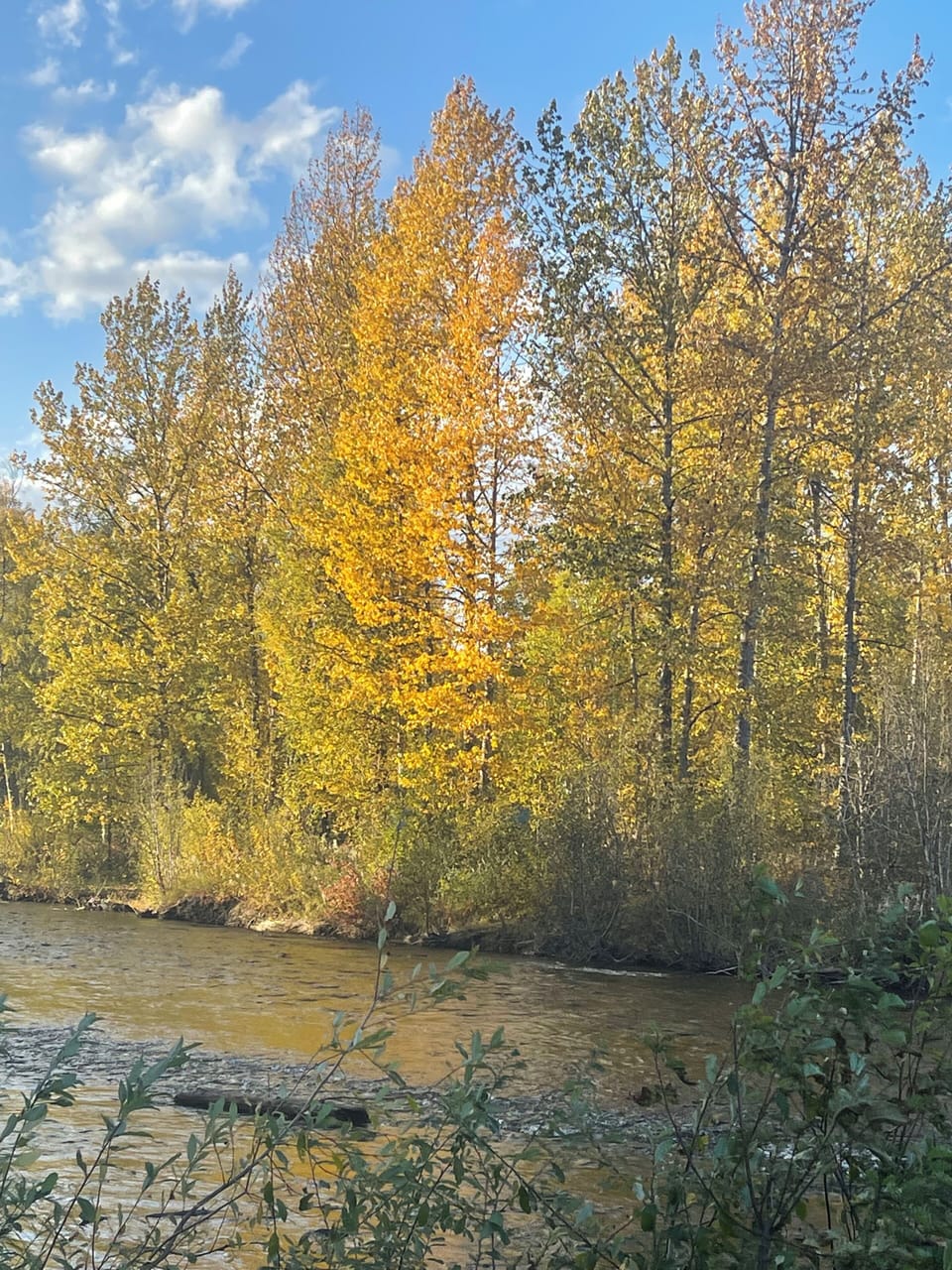 Montana Creek about 10 minute drive from cabin