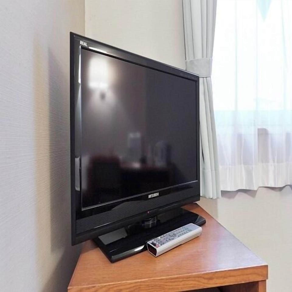 Television