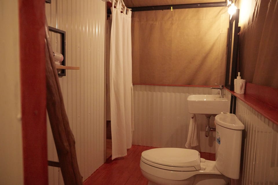 Shower, free toiletries, towels