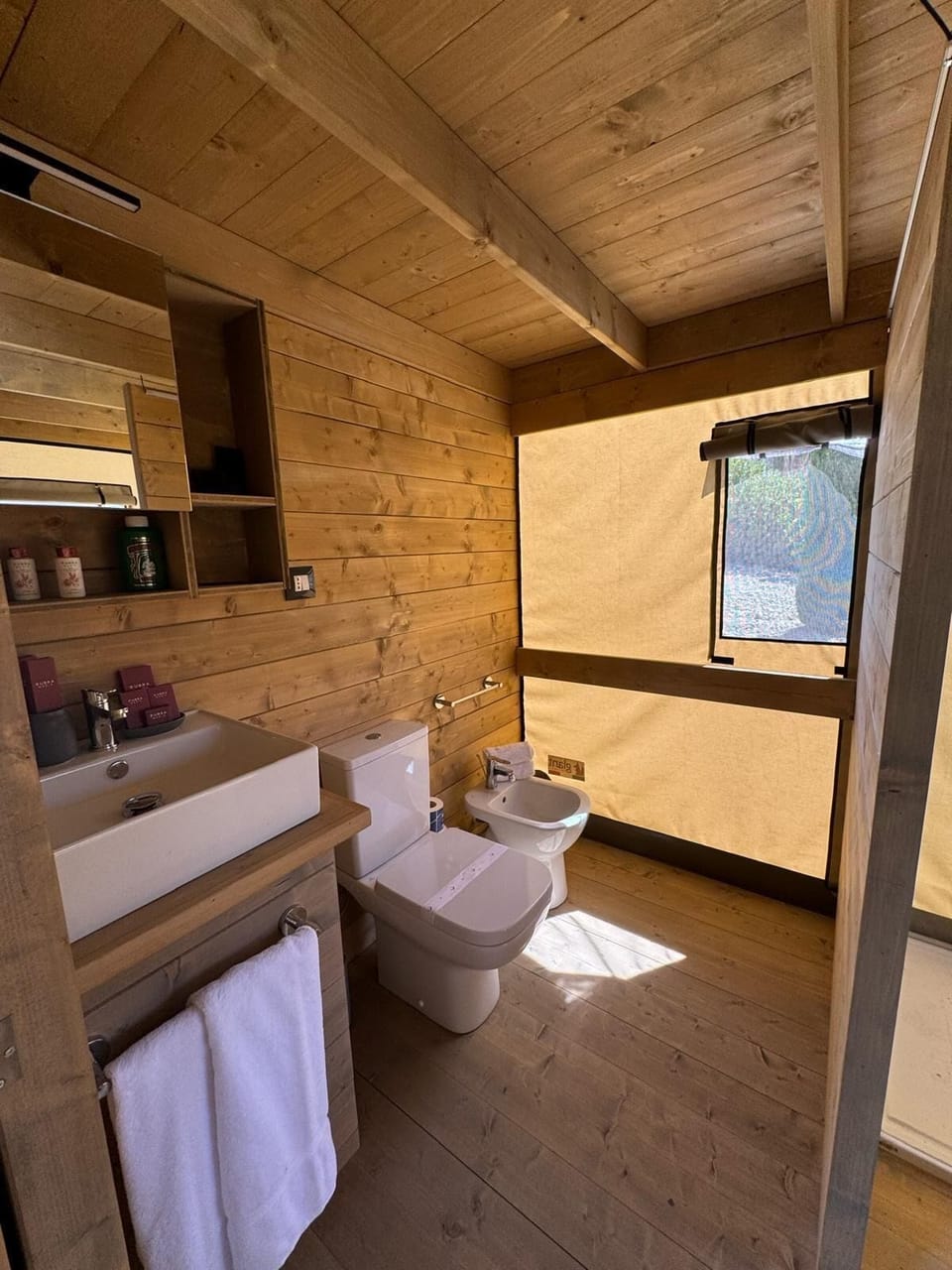 Deluxe Tent | Bathroom | Shower, rainfall showerhead, free toiletries, hair dryer