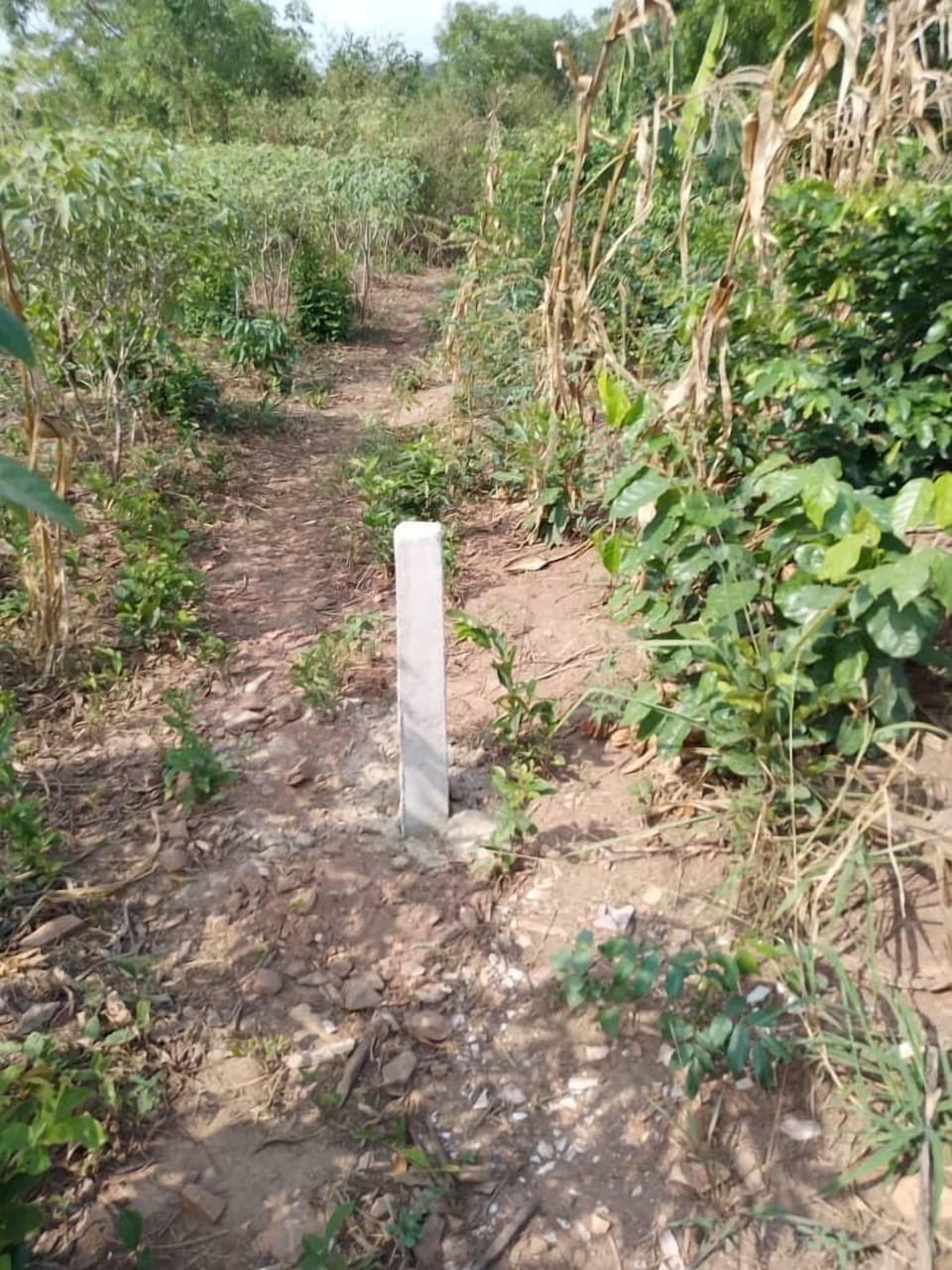 Image 13