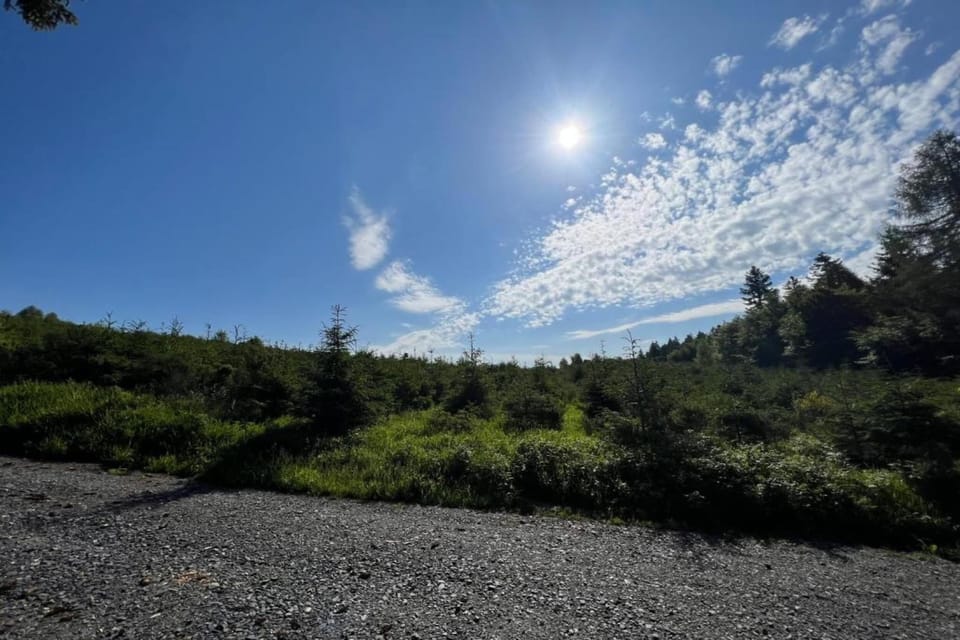 Surroundings [summer] (1-5 km)
