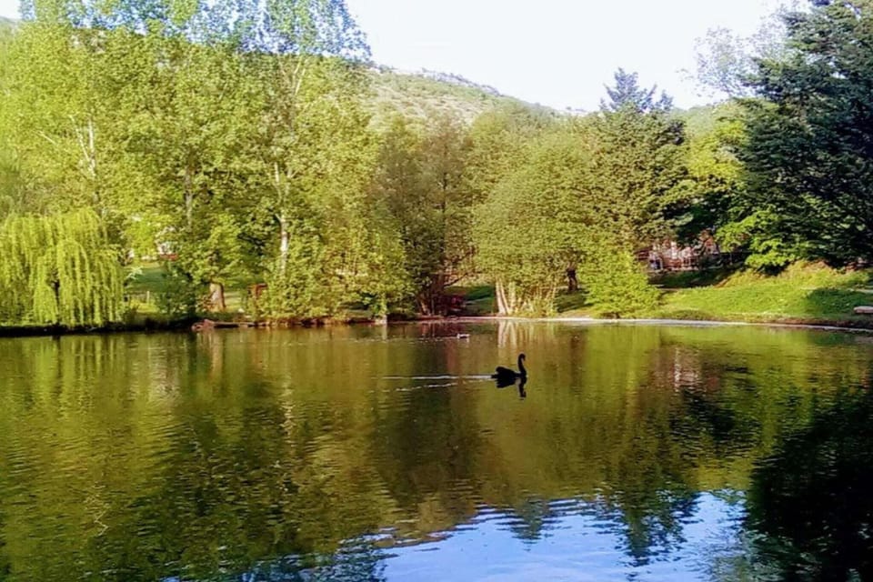 Region [summer] (>5 km)