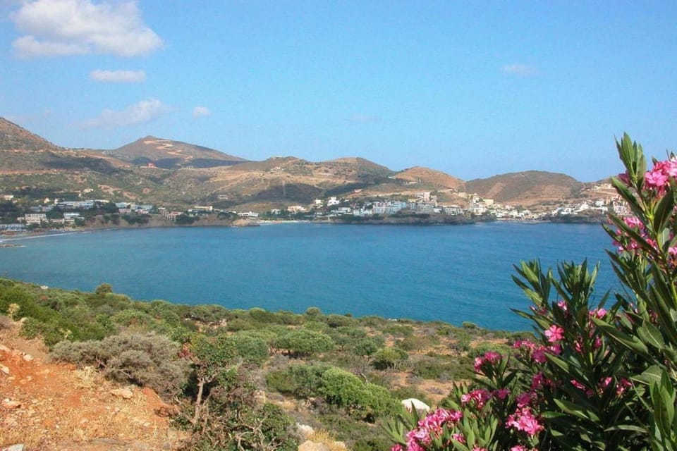 Region [summer] (>5 km)