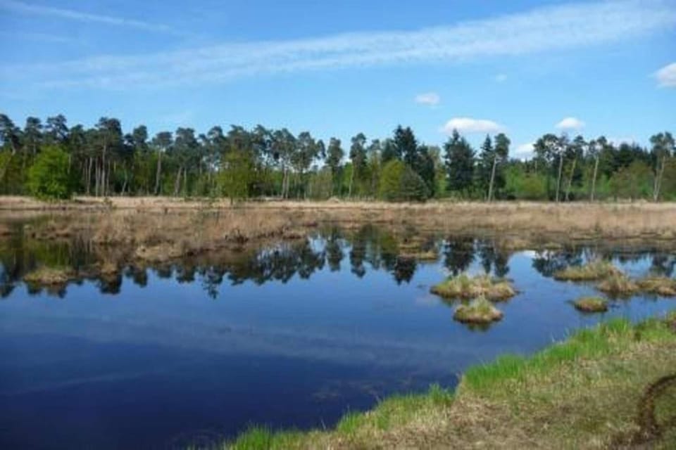 Region [summer] (>5 km)
