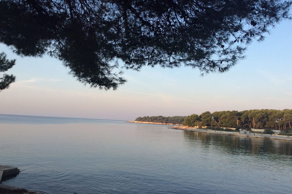 Region [summer] (>5 km)