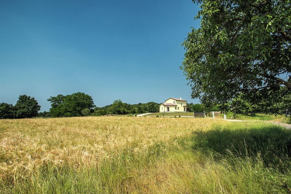 Immediate Surroundings [summer] (<1 km)