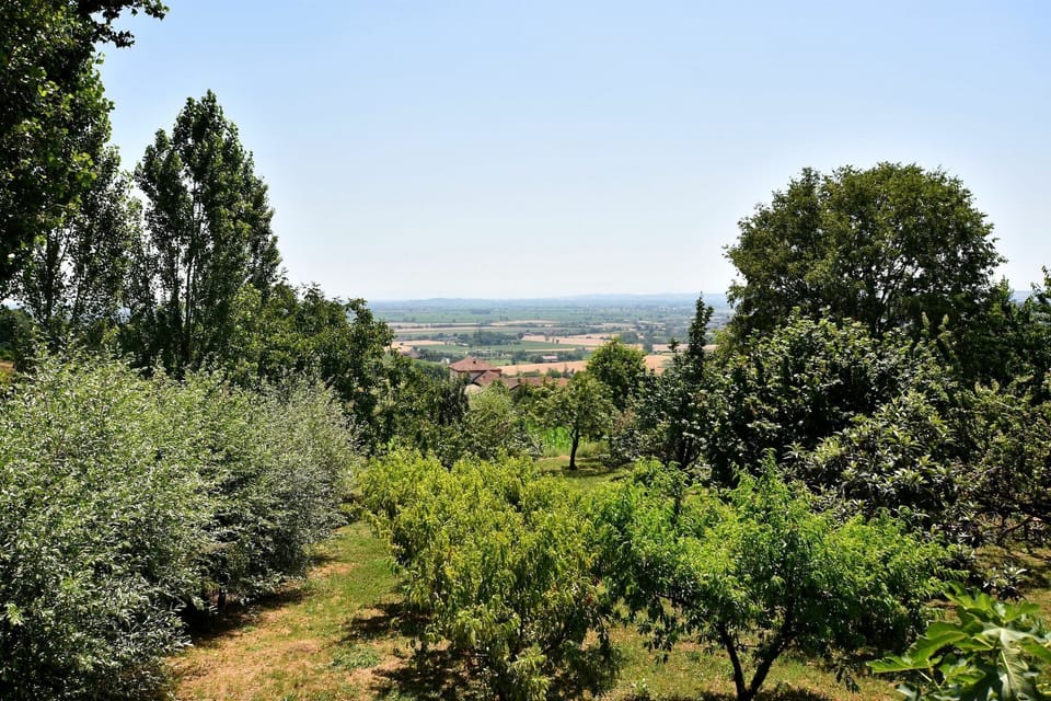 View from Holiday Home [summer]