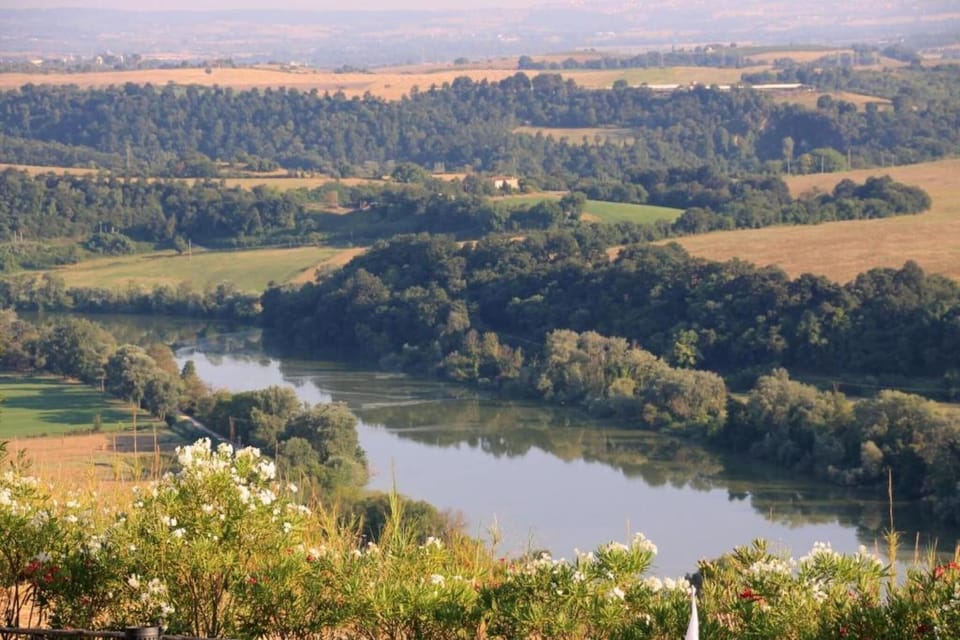 Region [summer] (>5 km)