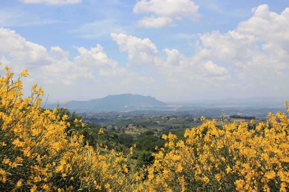 Immediate Surroundings [summer] (<1 km)