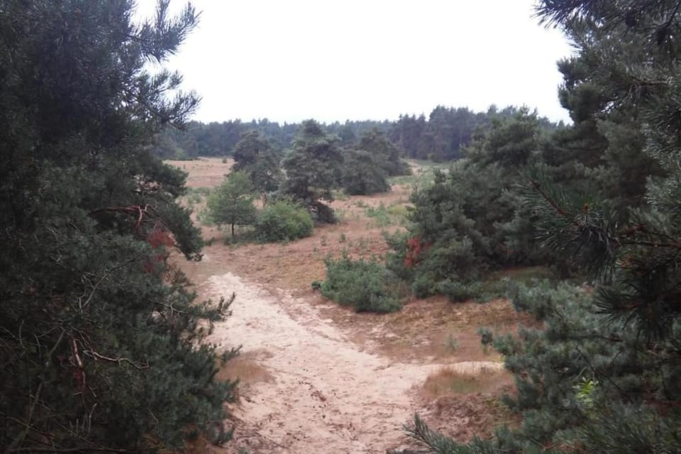 Region [summer] (>5 km)