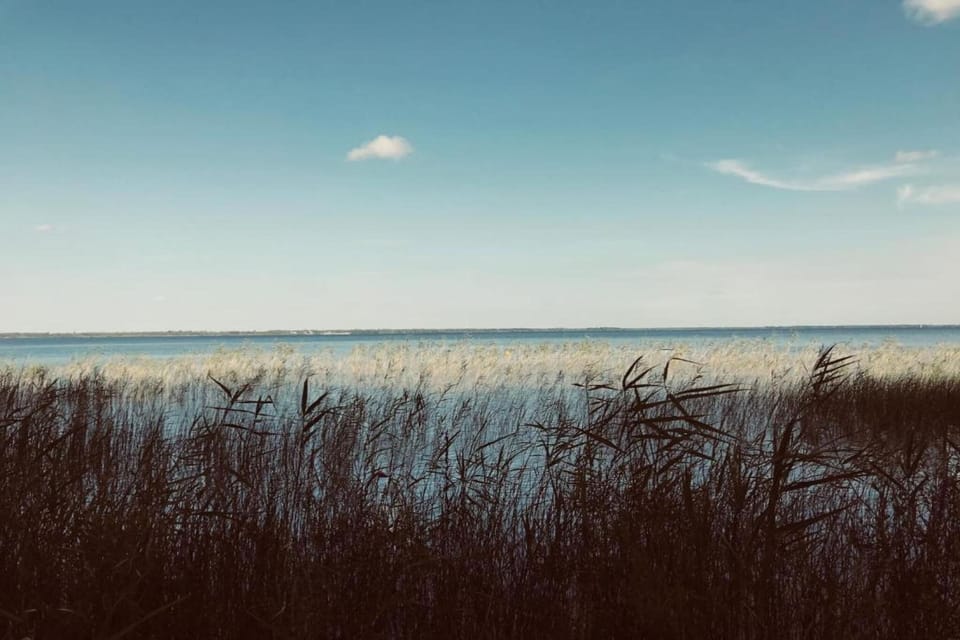 Region [summer] (>5 km)
