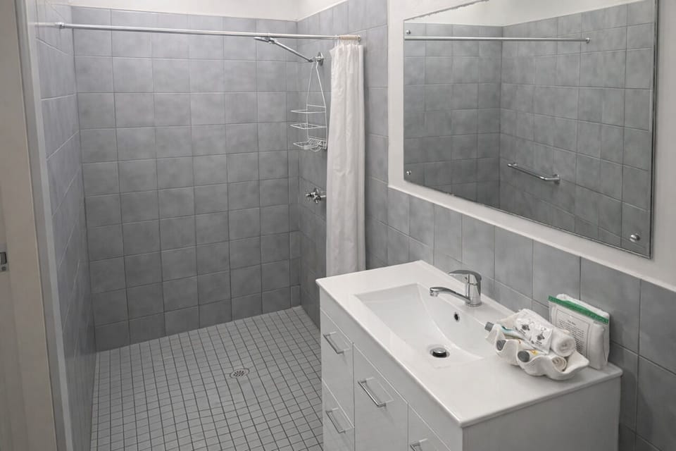 Basic Double Room, 1 Queen Bed | Bathroom | Shower, free toiletries, towels