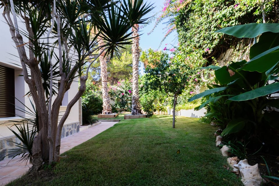 Garden with lemons, oranges and many other fruit trees.