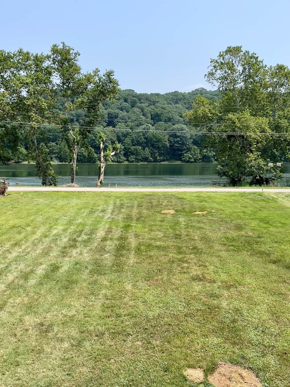 Front Yard