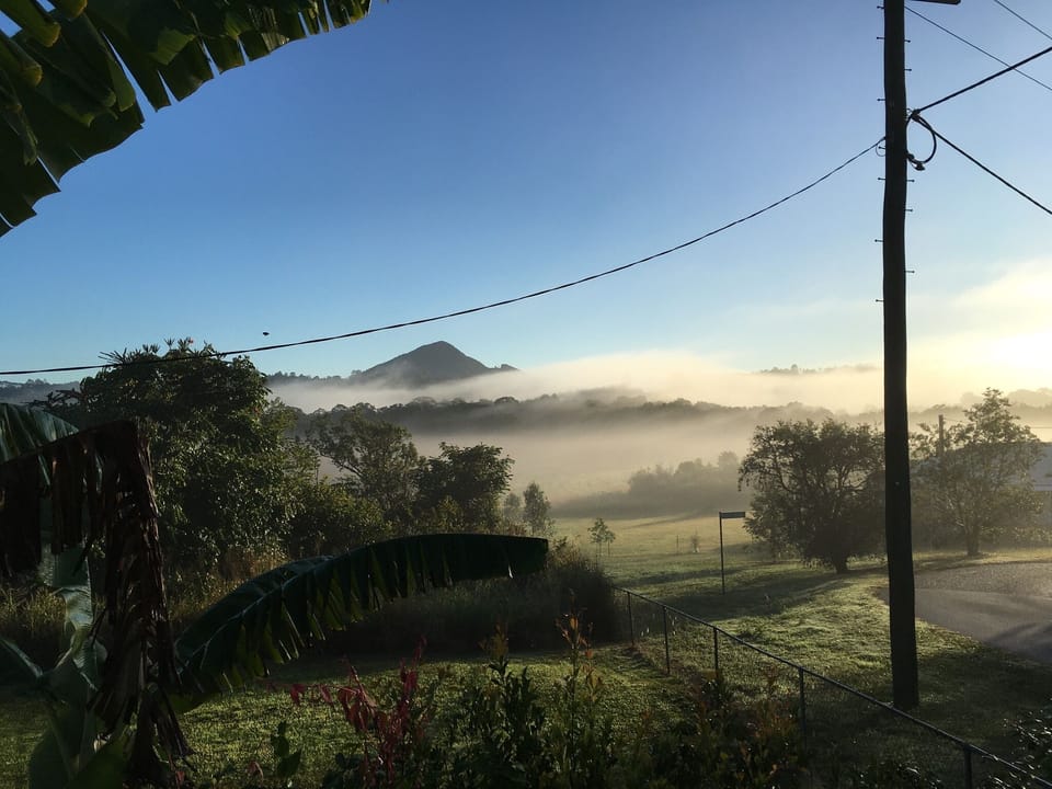 Luxury Cabin, 1 Queen Bed, Mountain View | View from room