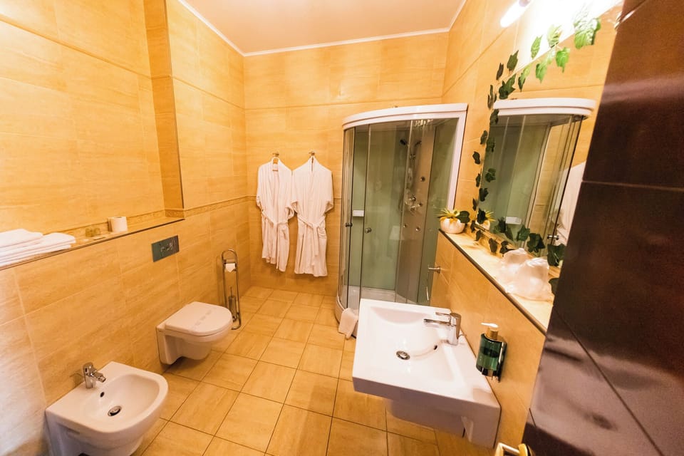 Executive Double Room Single Use, 1 King Bed, City View | Bathroom | Shower, rainfall showerhead, free toiletries, hair dryer