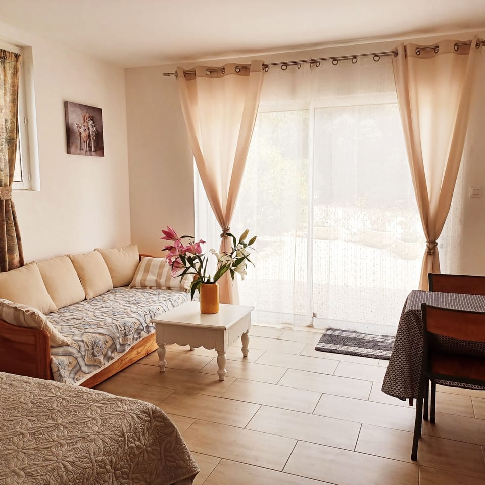 Comfort Studio, 1 Double Bed with Sofa bed, Pets Allowed, Garden View | Living area