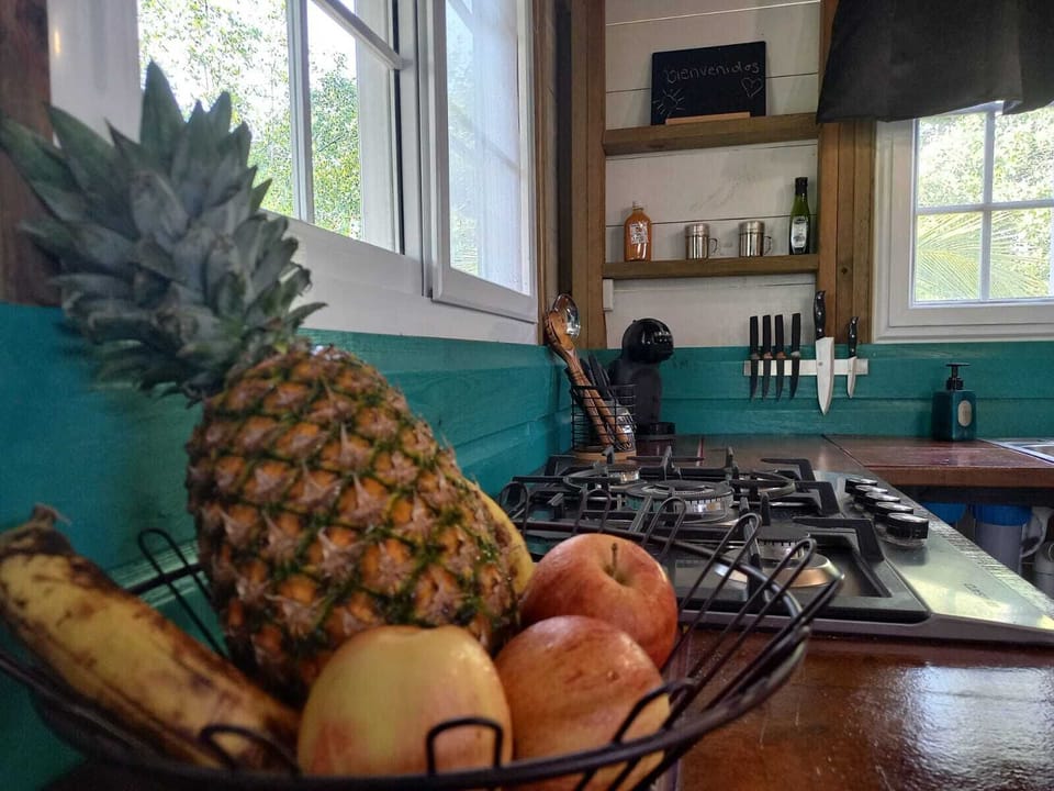 Modern, fully equipped kitchen. Fresh fruits provided at your arrival.