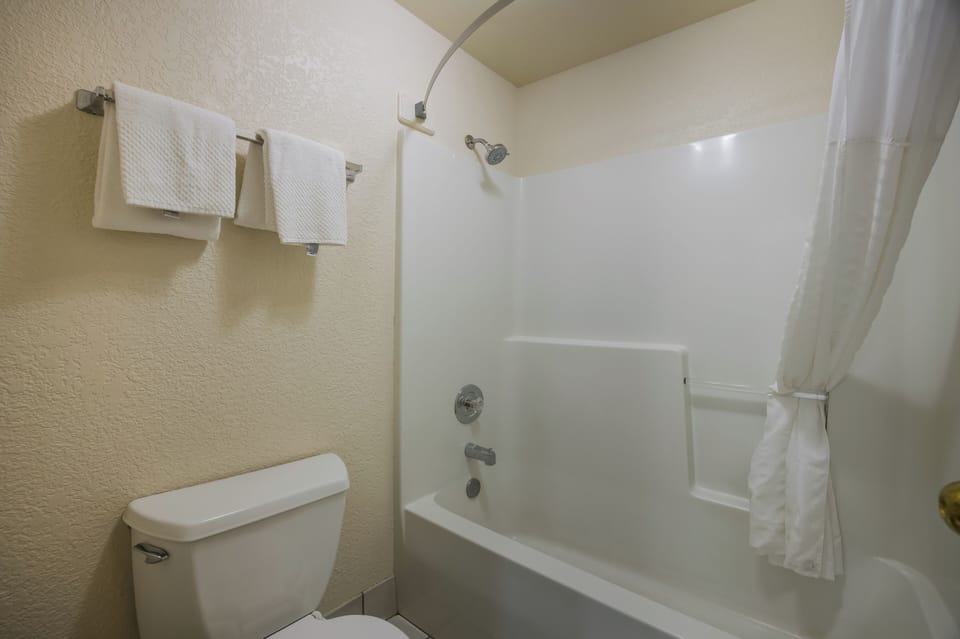 Combined shower/tub, free toiletries, hair dryer, towels