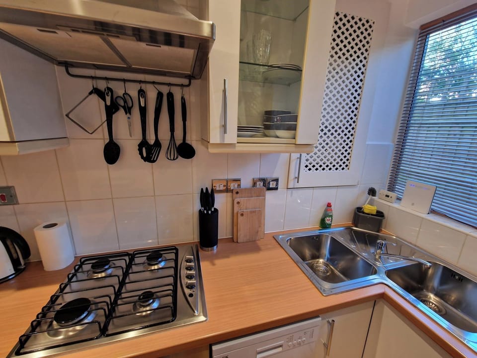 Apartment | Private kitchen | Fridge, microwave, oven, stovetop