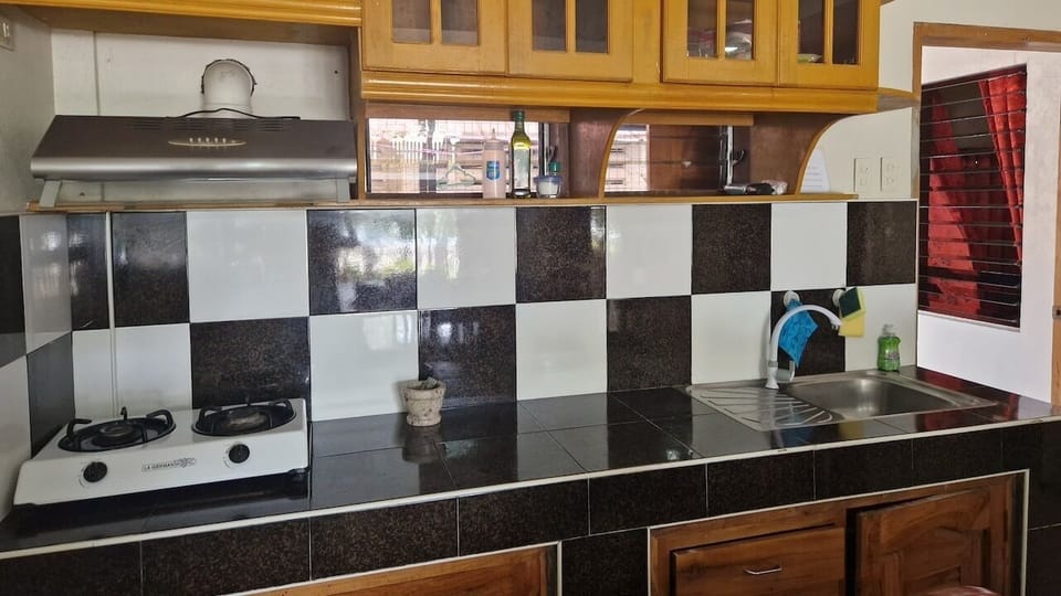 Detail of kitchen