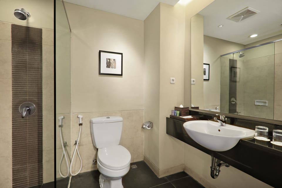 Free toiletries, hair dryer (on request), slippers, towels