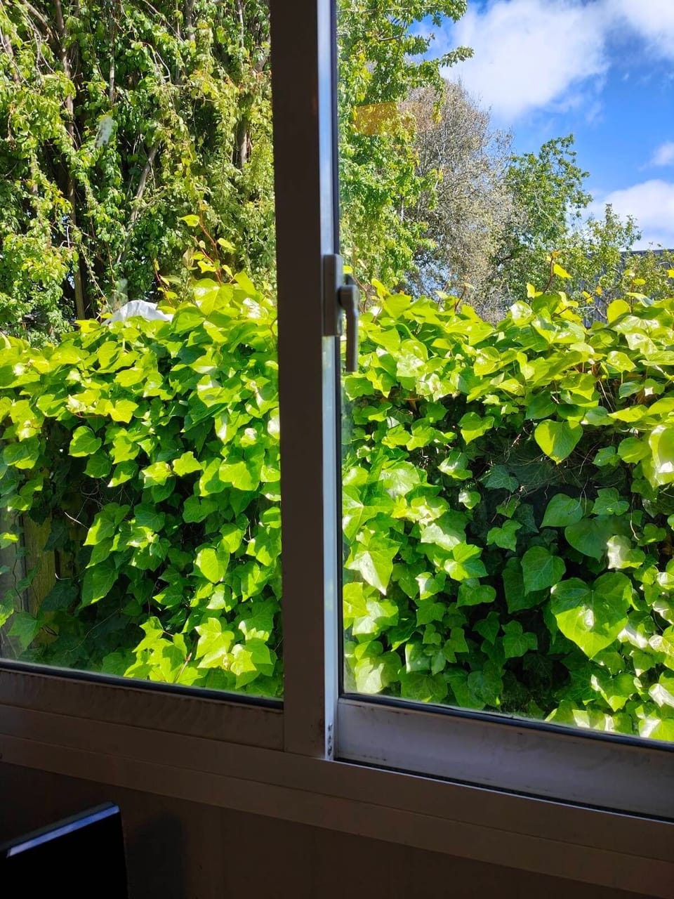 Lounge Window View
