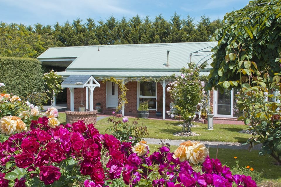 Honeymoon Cottage, Non Smoking, Kitchen (Lakeside Cottage) | View from room