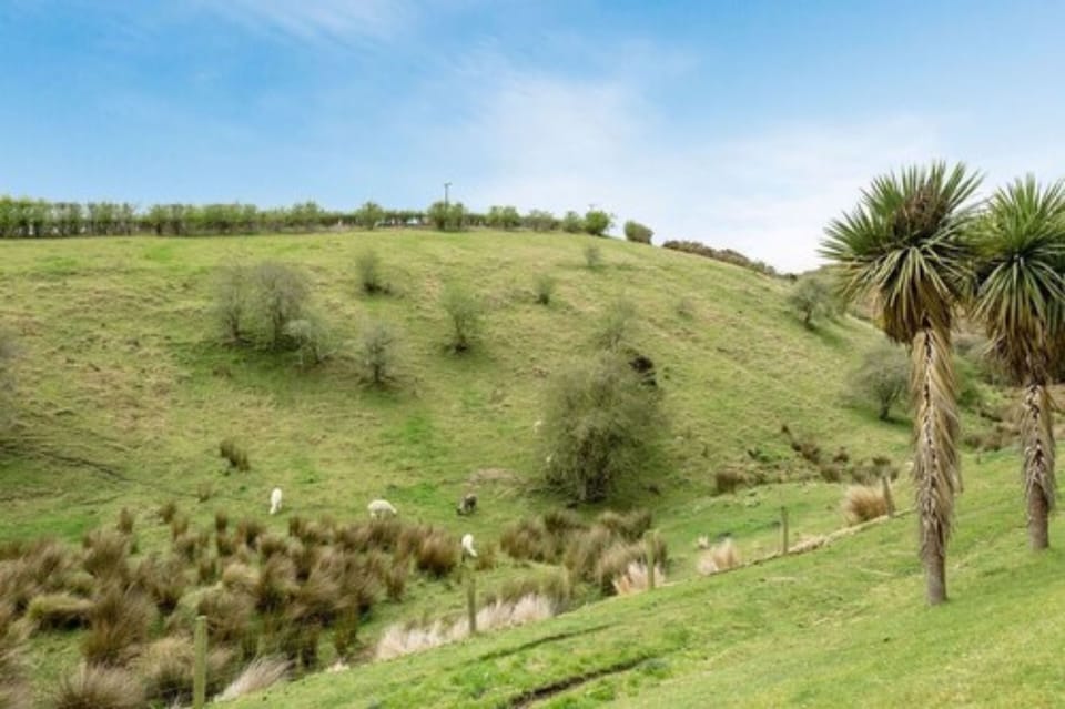 Double Room, 1 Queen Bed, Private Bathroom, Hill View | Hill view