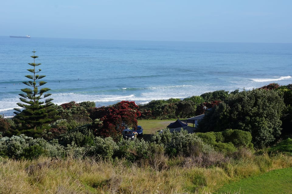 Beach/ocean view