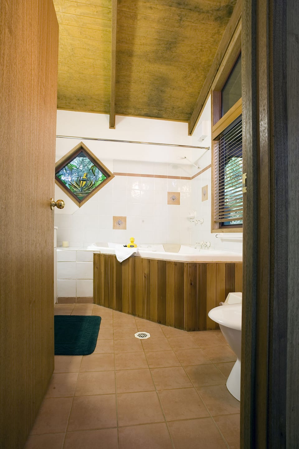 Springbrook Lyrebird Retreat Cottage in Springbrook