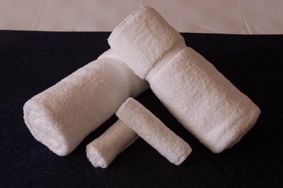 Shower, free toiletries, hair dryer, towels