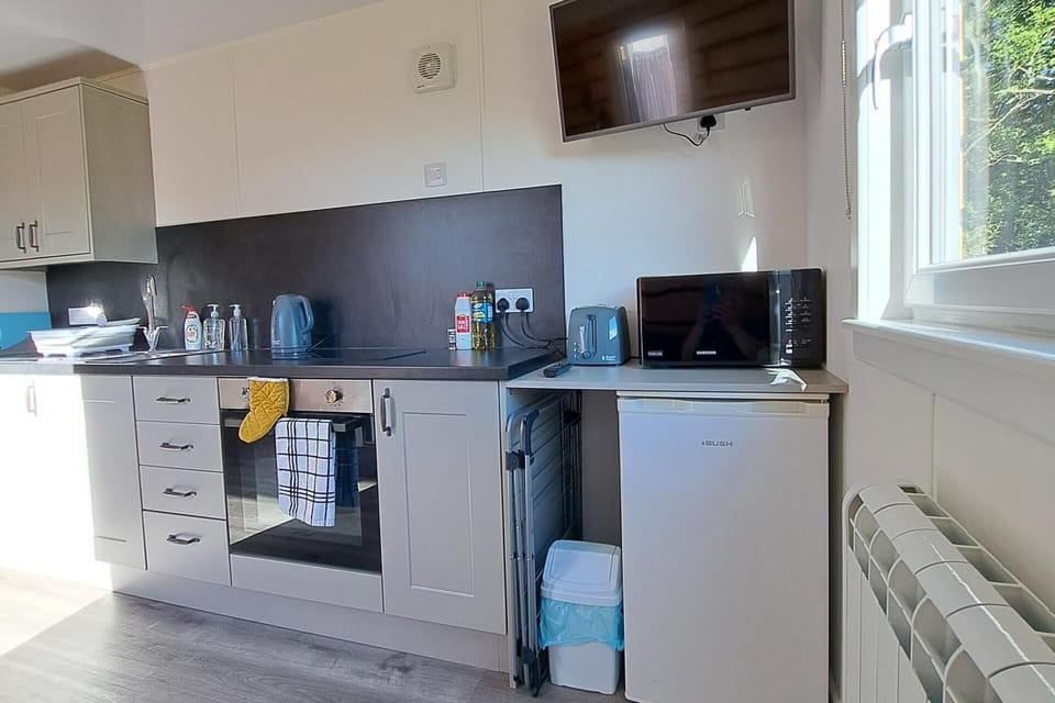 Studio | Private kitchen | Fridge, microwave, oven, stovetop
