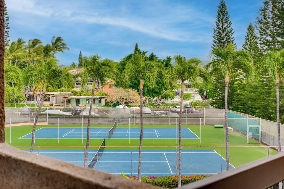 Sport court