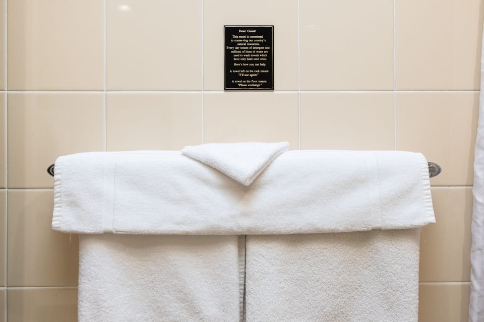 Queen Suite, No Pets | Bathroom | Shower, rainfall showerhead, free toiletries, hair dryer