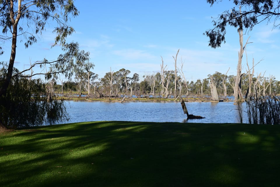 2 Bedroom Waterfront Cabin- Access Friendly  | Lake