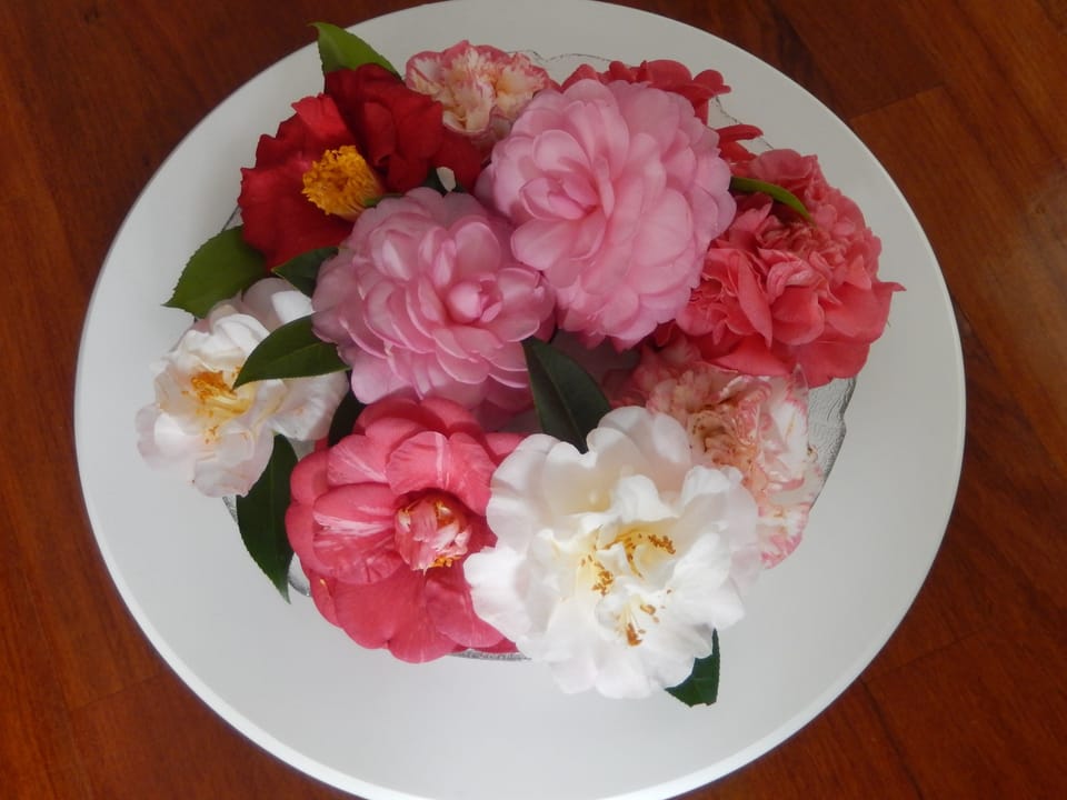 Reception hall